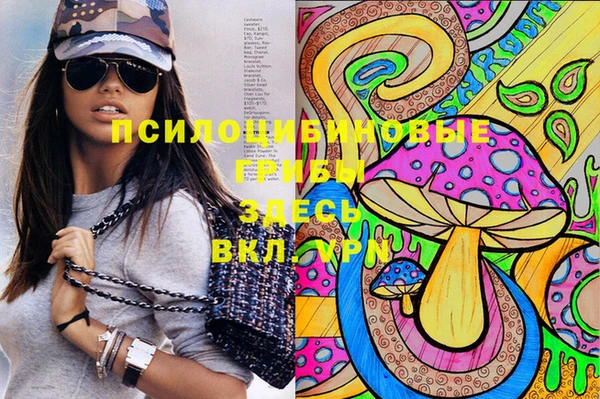 прущие грибы Нефтегорск