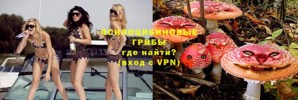 spice Надым