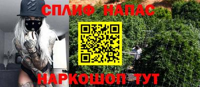 гашик Краснознаменск