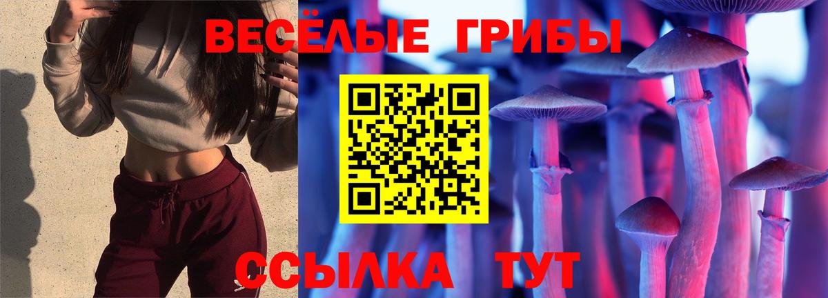 Псилоцибиновые грибы ЛСД Лиски
